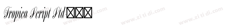 Tropica Script Std字体转换